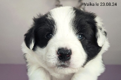 Vaïka 